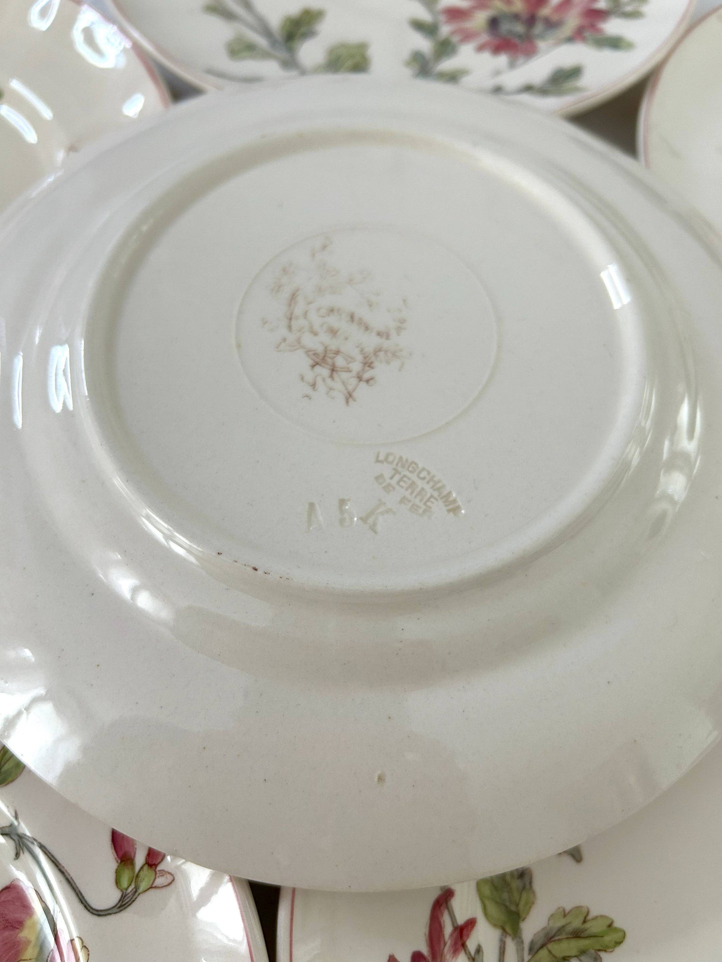 Ensemble de 6 assiettes plates - Chrysanthèmes - Longchamp - La Brocanterie d'Estelle