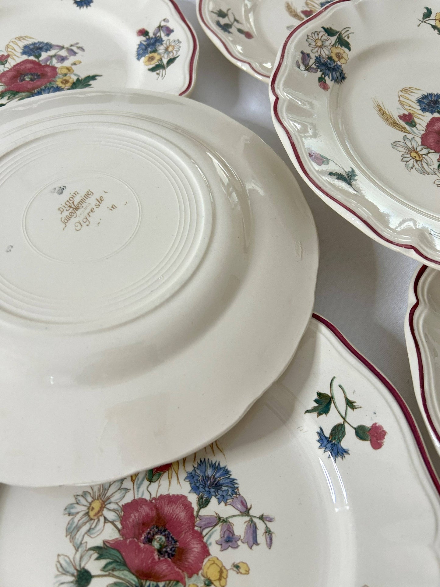 Ensemble de 6 assiettes plates - Agreste - Sarreguemines - La Brocanterie d'Estelle