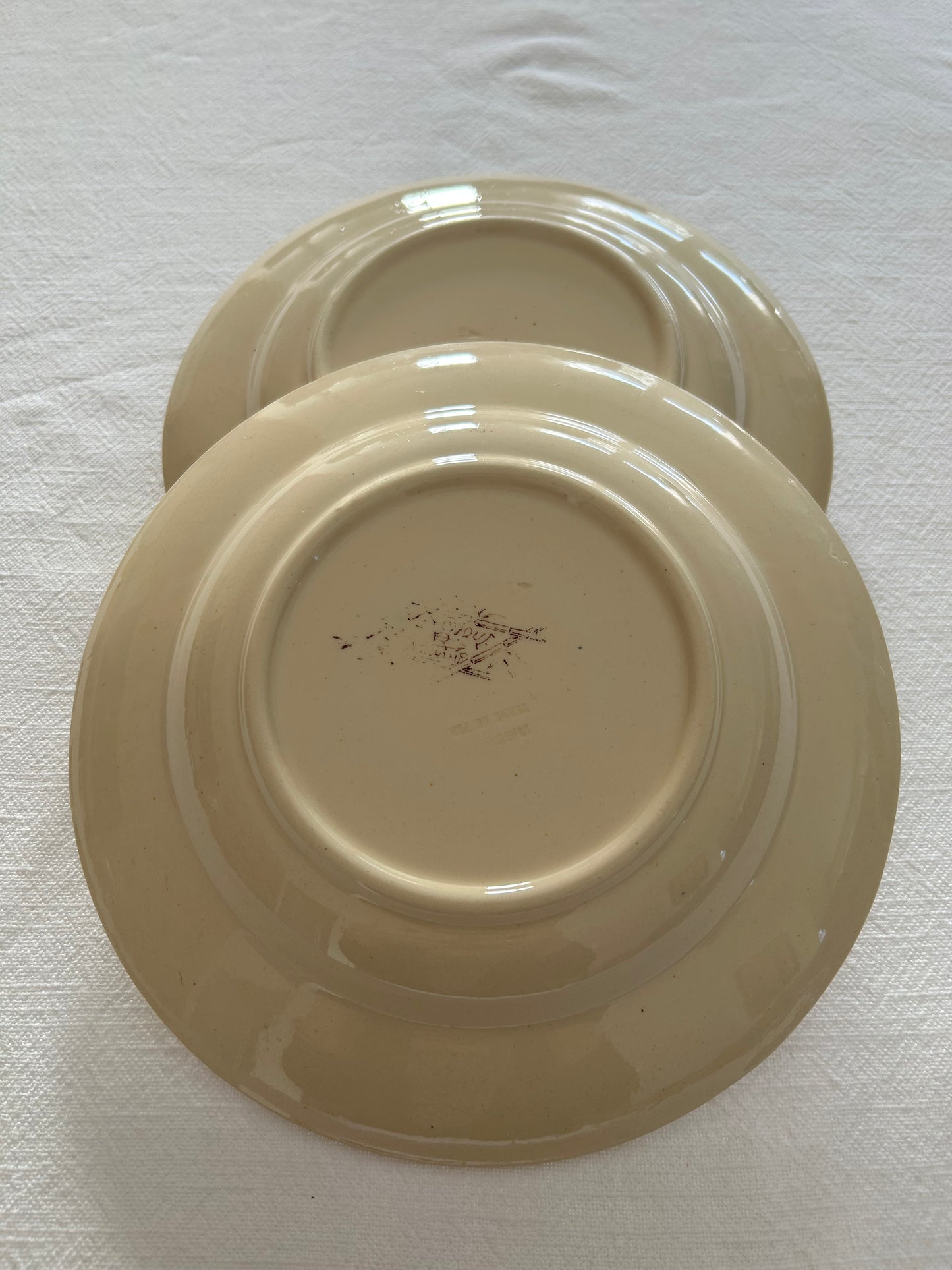 Duo d’assiettes creuses - Exotique - Longchamp