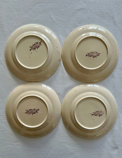 Ensemble de 4 assiettes plates - Exotique - Longchamp