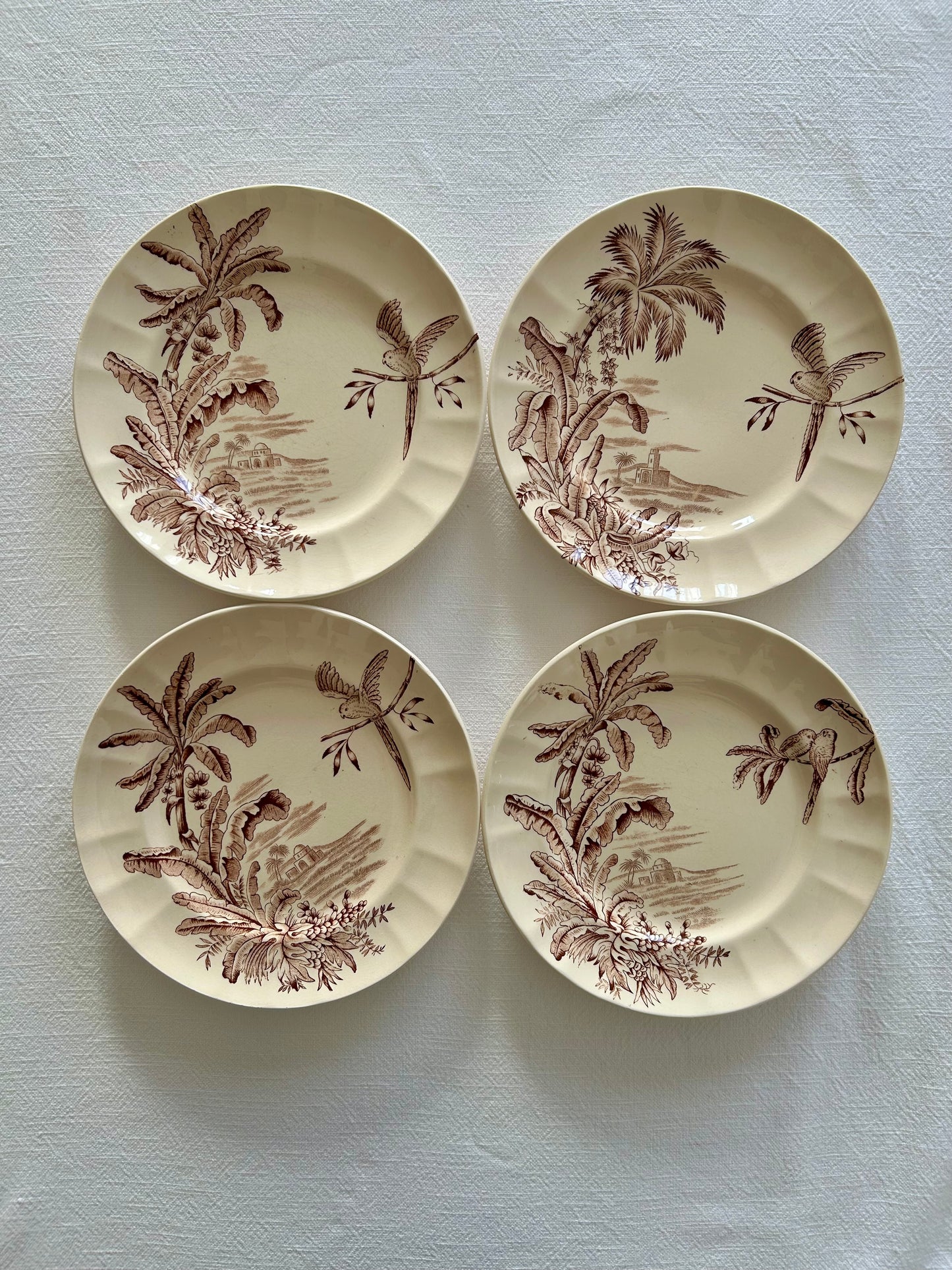 Ensemble de 4 assiettes plates - Exotique - Longchamp