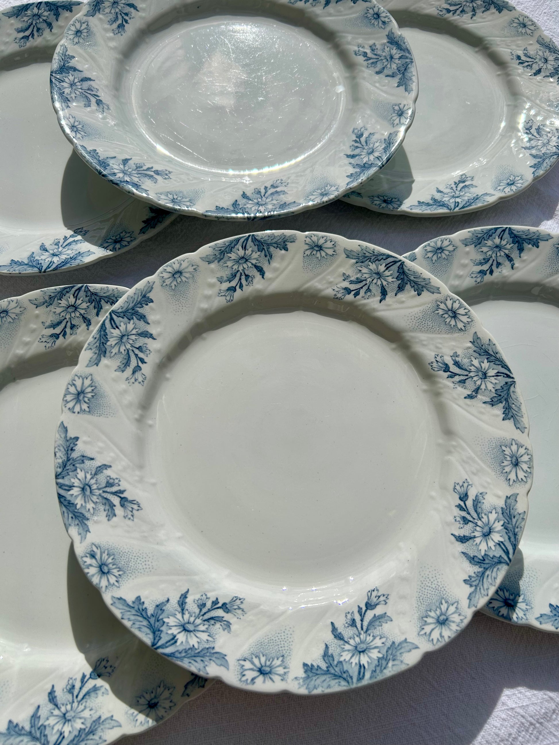 Ensemble de 6 assiettes plates K&G Lunéville - La Brocanterie d'Estelle