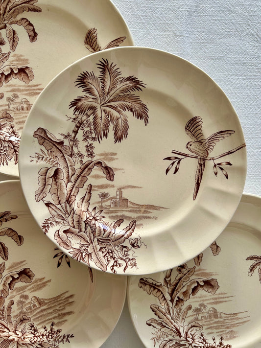 Ensemble de 4 assiettes plates - Exotique - Longchamp