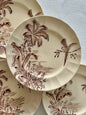Ensemble de 4 assiettes plates - Exotique - Longchamp