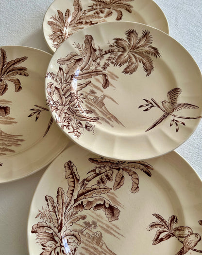 Ensemble de 4 assiettes plates - Exotique - Longchamp