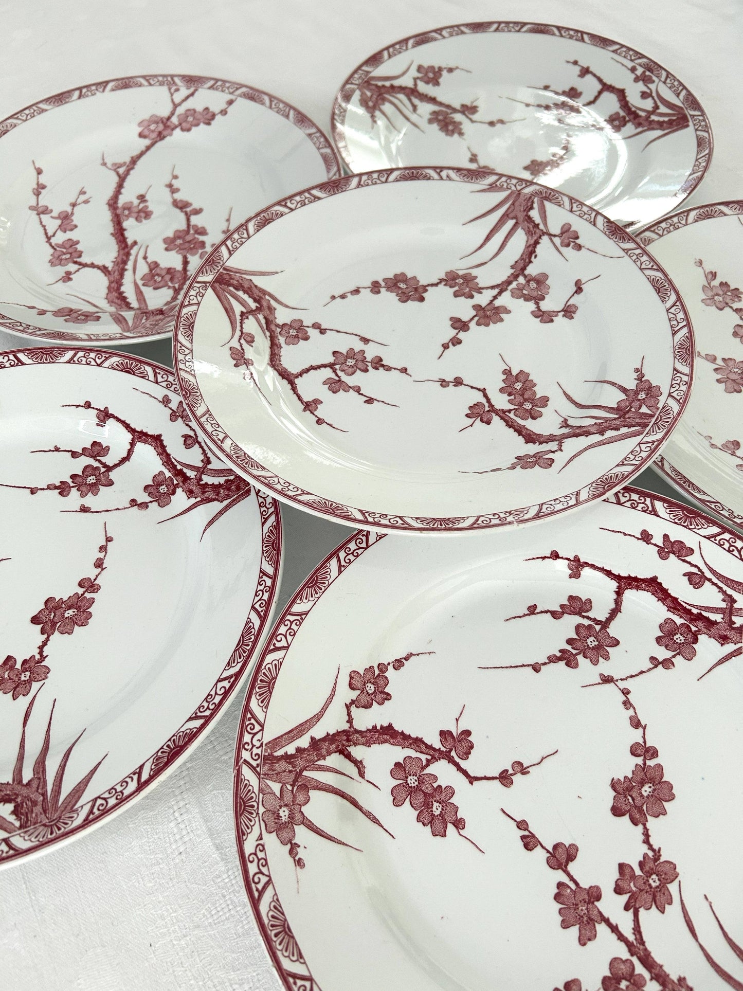 Ensemble de 6 assiettes plates - Aubépine - Longwy - La Brocanterie d'Estelle