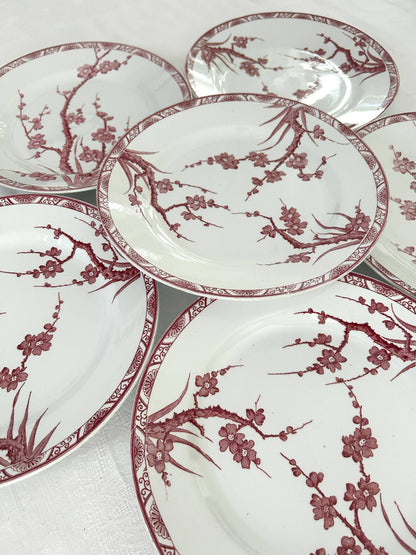Ensemble de 6 assiettes plates - Aubépine - Longwy - La Brocanterie d'Estelle
