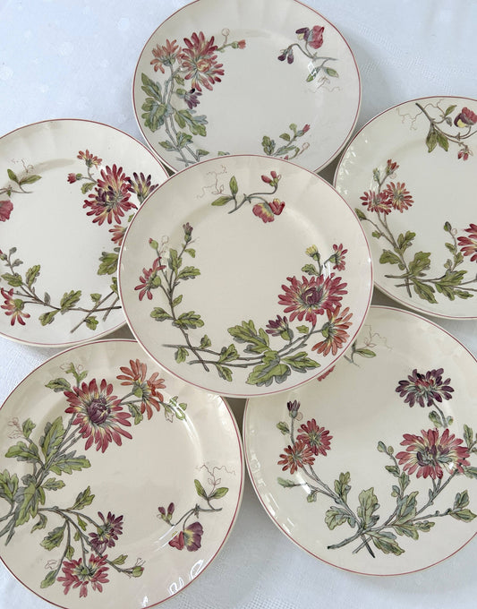 Ensemble de 6 assiettes plates - Chrysanthèmes - Longchamp - La Brocanterie d'Estelle