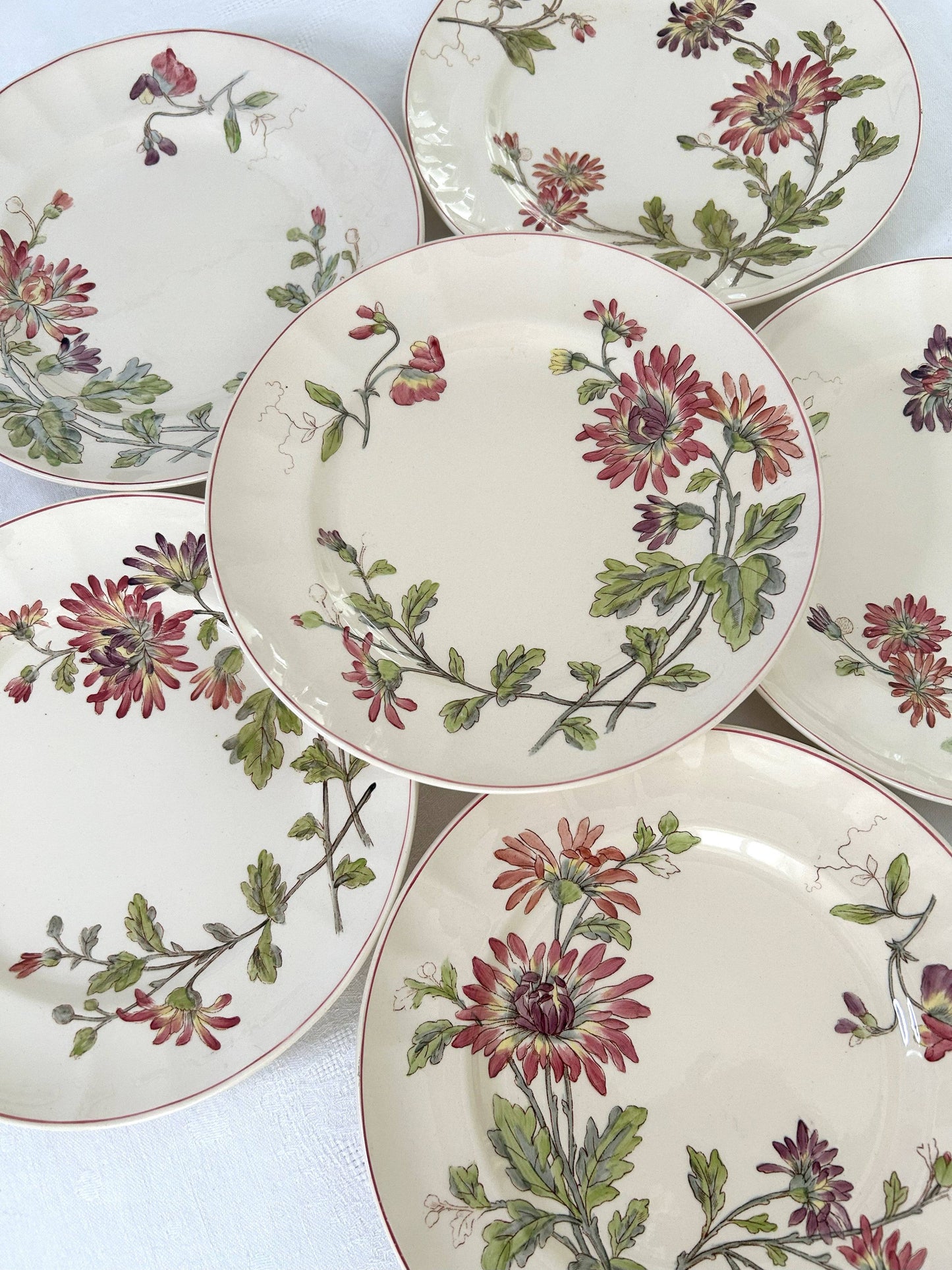 Ensemble de 6 assiettes plates - Chrysanthèmes - Longchamp - La Brocanterie d'Estelle