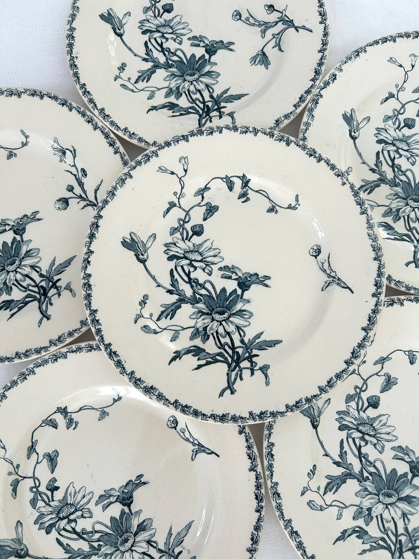 Ensemble de 6 assiettes plates - Marguerite - Terre de fer - K&G Lunéville - La Brocanterie d'Estelle