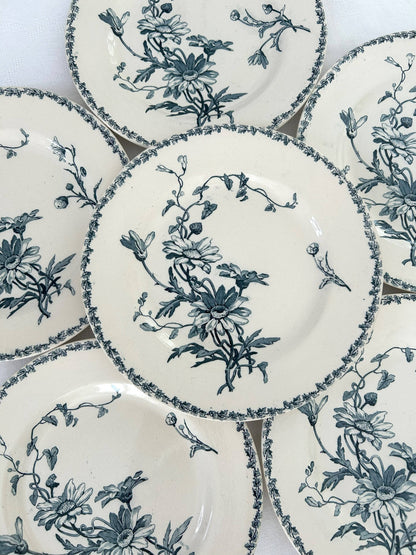 Ensemble de 6 assiettes plates - Marguerite - Terre de fer - K&G Lunéville - La Brocanterie d'Estelle