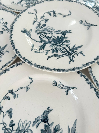 Ensemble de 6 assiettes plates - Marguerite - Terre de fer - K&G Lunéville - La Brocanterie d'Estelle