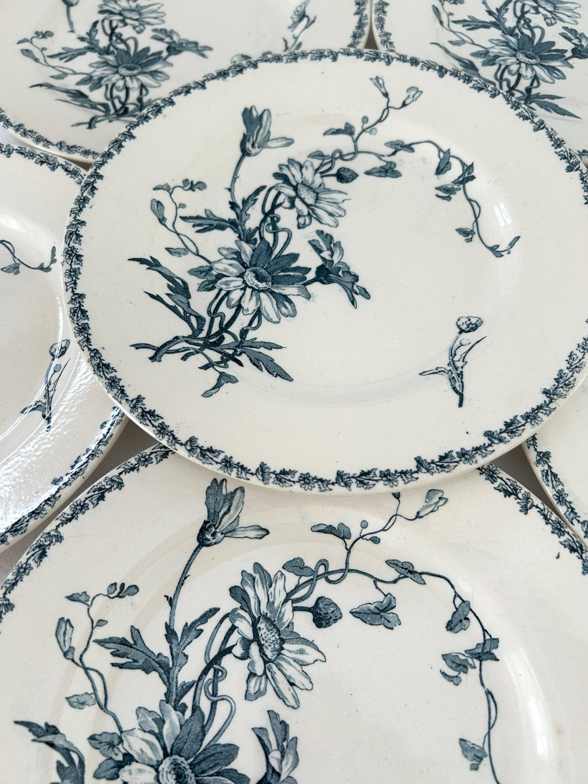Ensemble de 6 assiettes plates - Marguerite - Terre de fer - K&G Lunéville - La Brocanterie d'Estelle