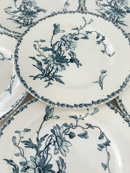 Ensemble de 6 assiettes plates - Marguerite - Terre de fer - K&G Lunéville - La Brocanterie d'Estelle