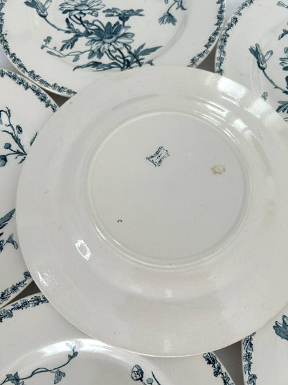 Ensemble de 6 assiettes plates - Marguerite - Terre de fer - K&G Lunéville - La Brocanterie d'Estelle