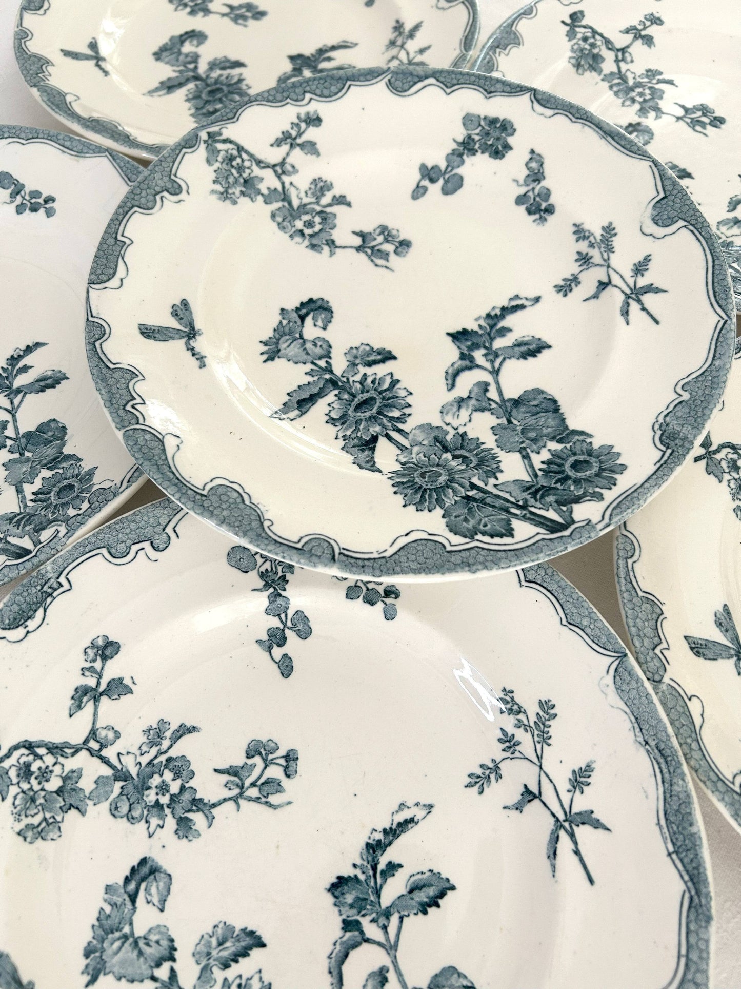 Ensemble de 6 assiettes plates - Soleil - Longwy - La Brocanterie d'Estelle