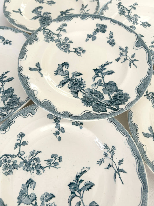 Ensemble de 6 assiettes plates - Soleil - Longwy - La Brocanterie d'Estelle