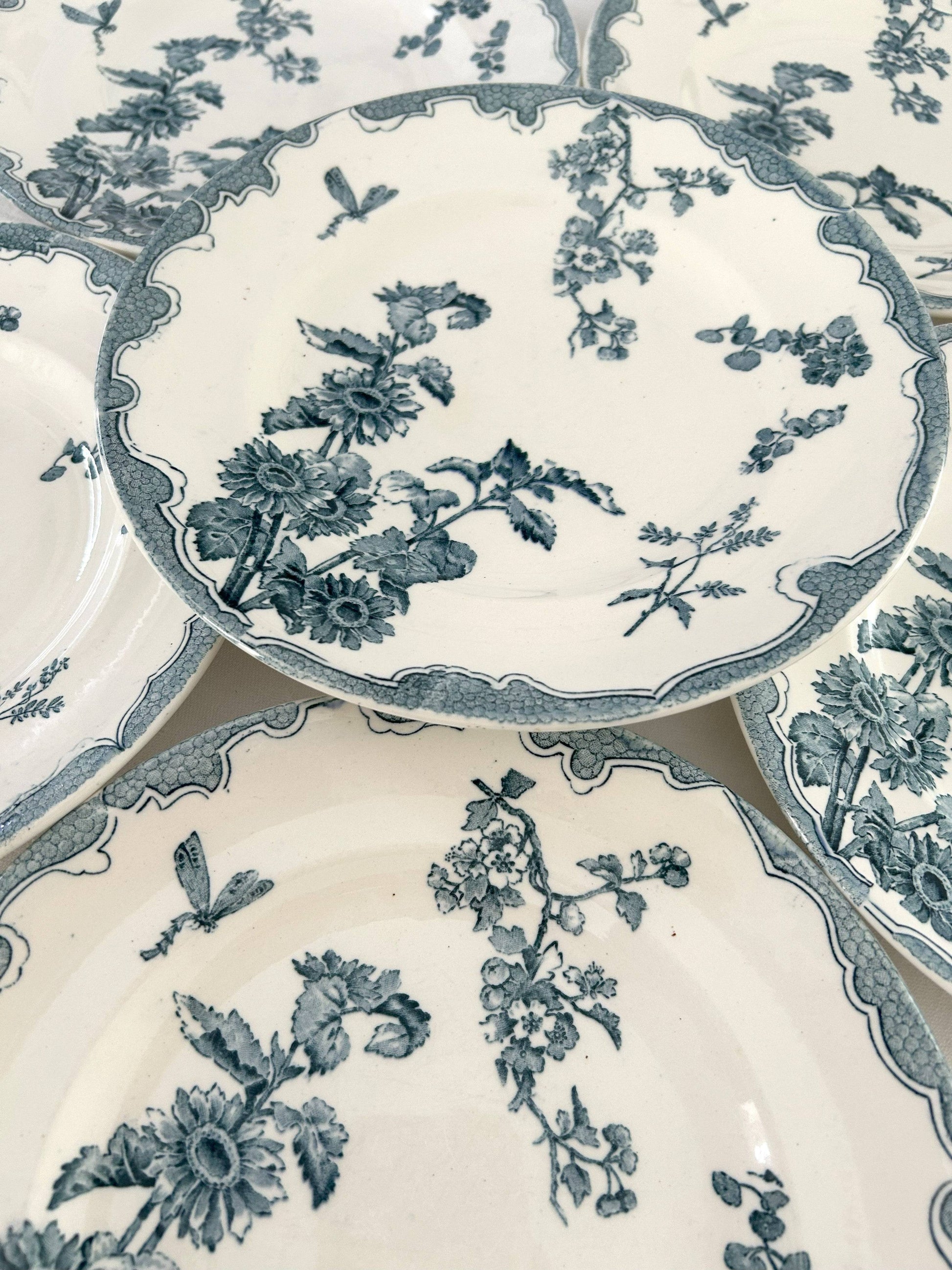 Ensemble de 6 assiettes plates - Soleil - Longwy - La Brocanterie d'Estelle