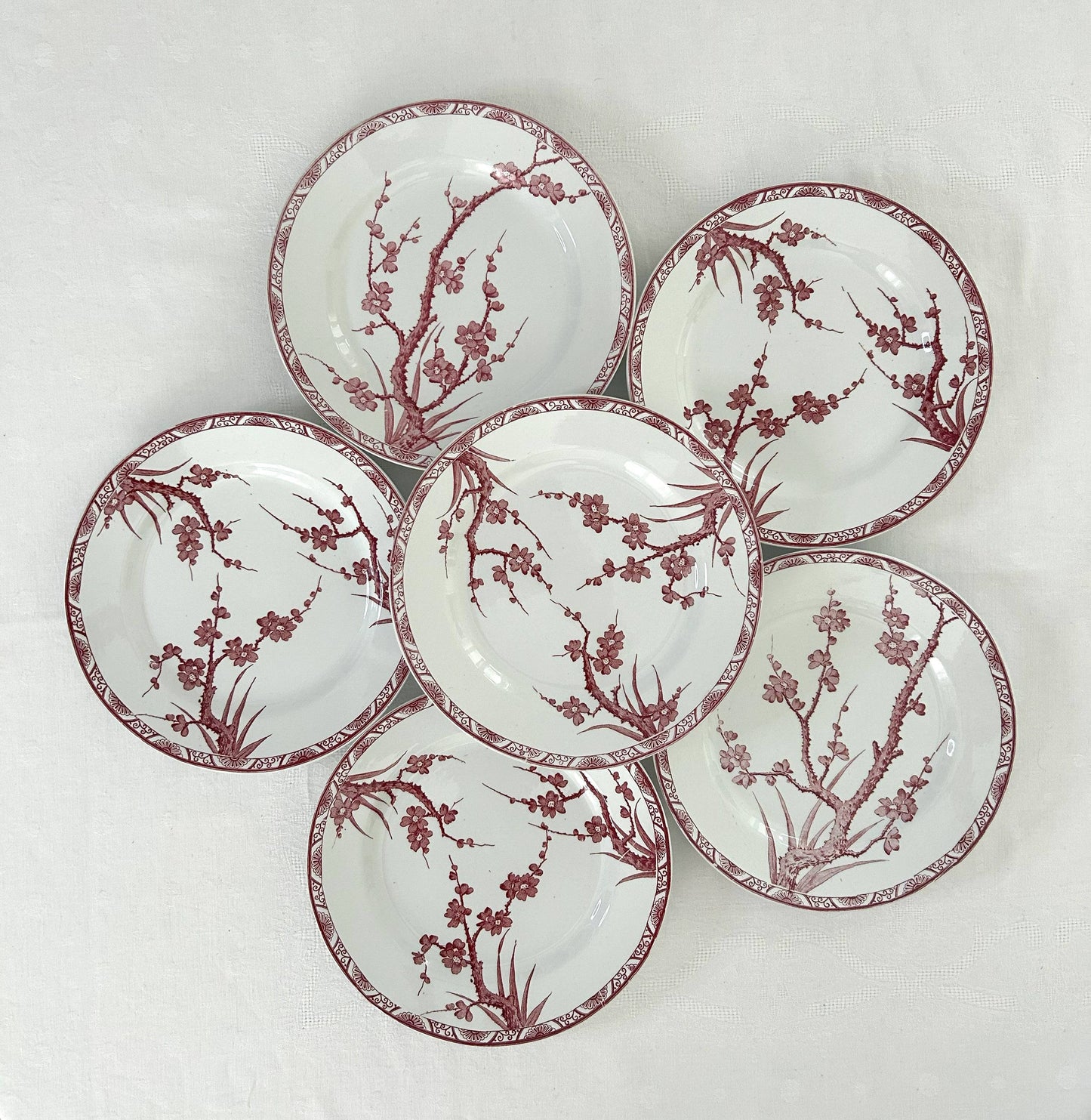 Ensemble de 6 assiettes plates - Aubépine - Longwy - La Brocanterie d'Estelle