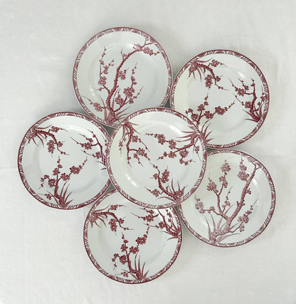 Ensemble de 6 assiettes plates - Aubépine - Longwy - La Brocanterie d'Estelle