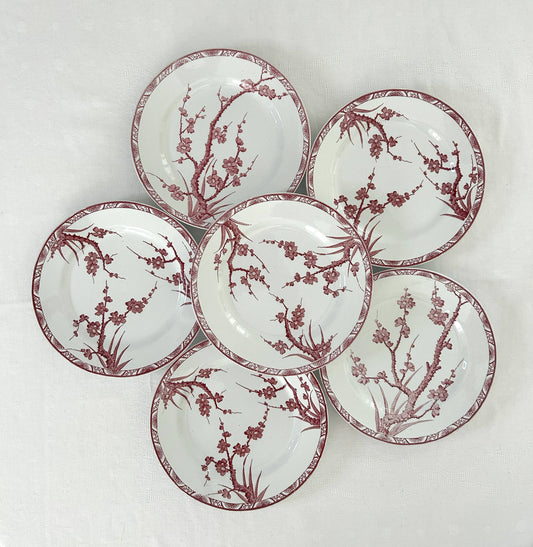 Ensemble de 6 assiettes plates - Aubépine - Longwy - La Brocanterie d'Estelle