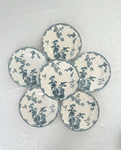 Ensemble de 6 assiettes plates - Soleil - Longwy - La Brocanterie d'Estelle