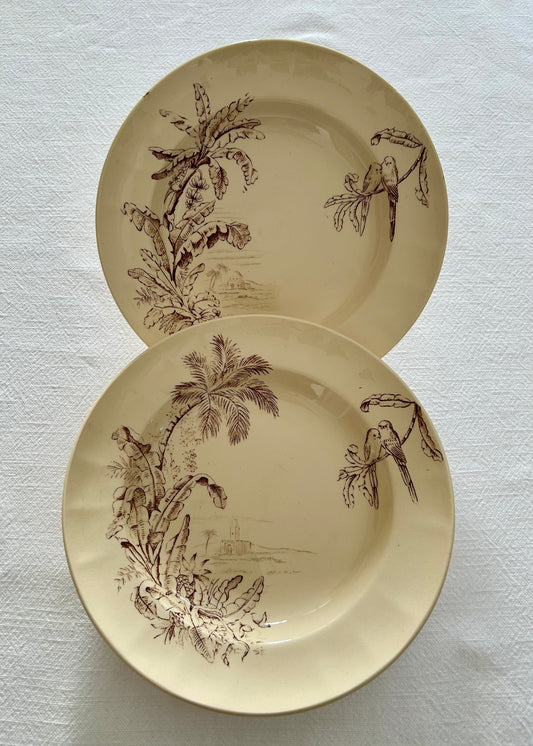 Duo d’assiettes creuses - Exotique - Longchamp