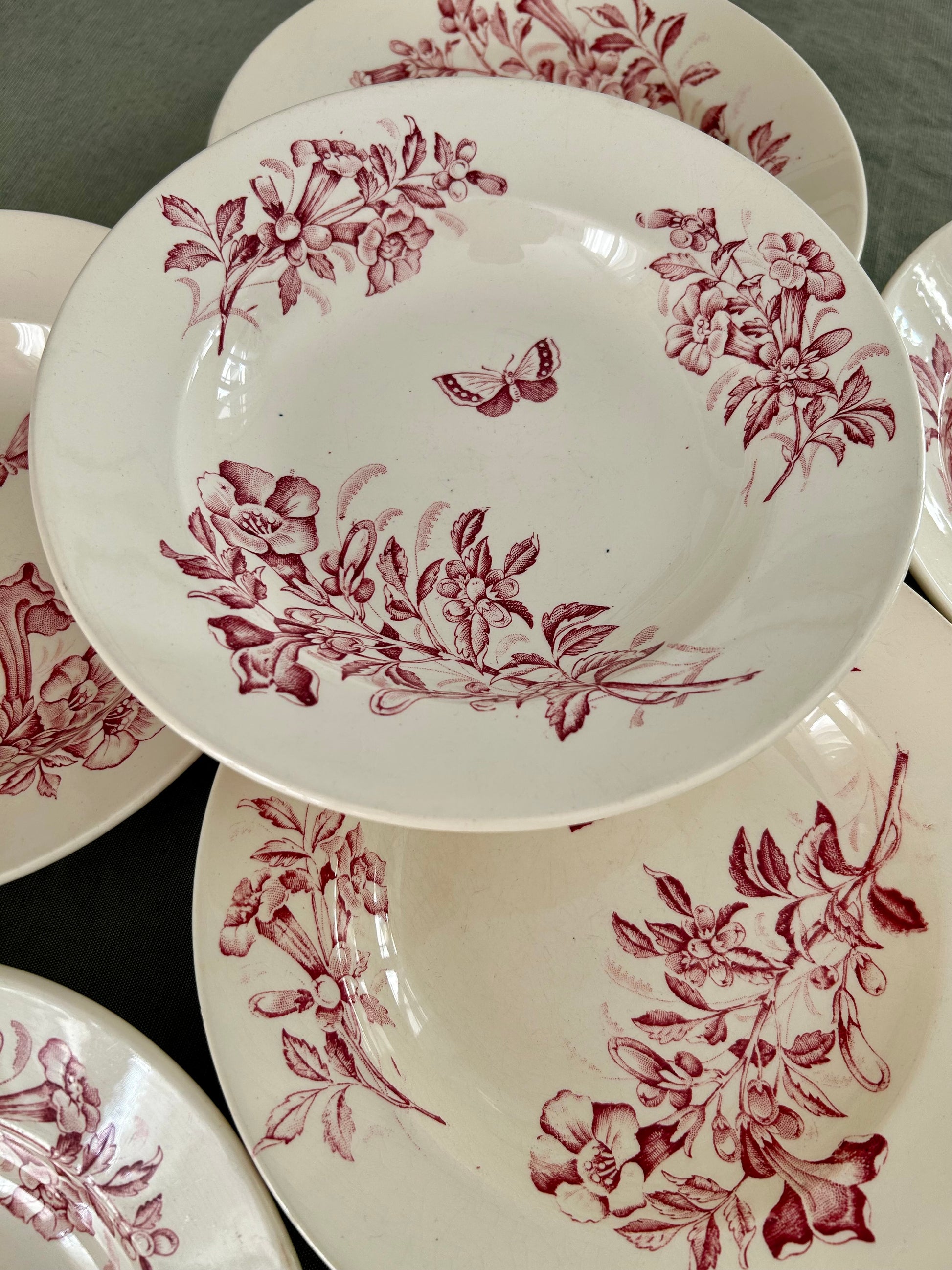 Ensemble de 6 assiettes creuses - Jasmin - F T Badonviller - La Brocanterie d'Estelle