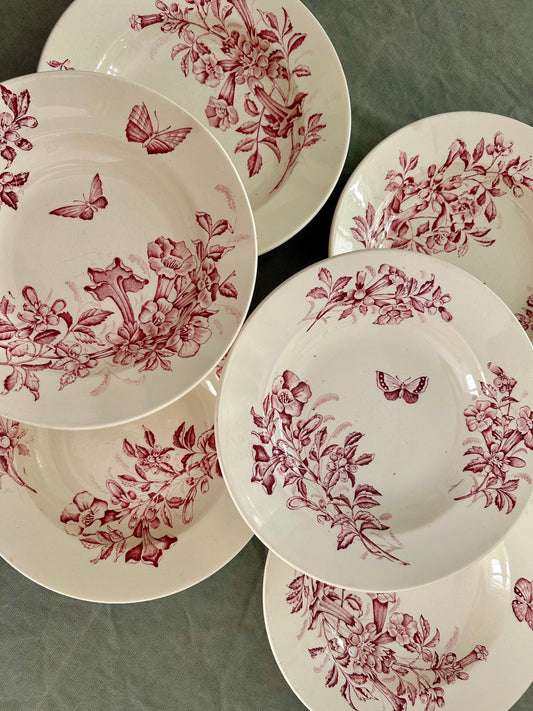 Ensemble de 6 assiettes creuses - Jasmin - F T Badonviller - La Brocanterie d'Estelle