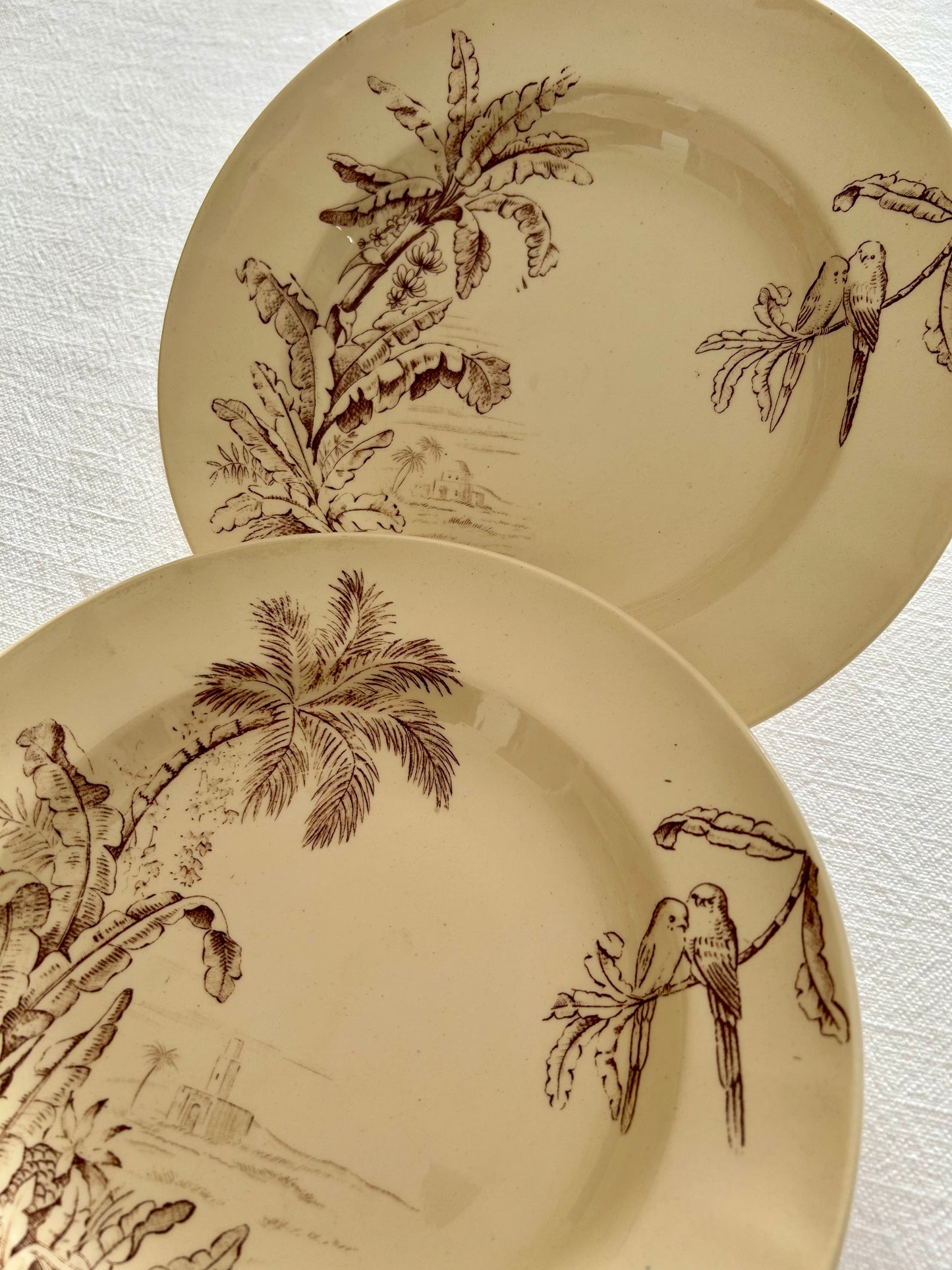 Duo d’assiettes creuses - Exotique - Longchamp