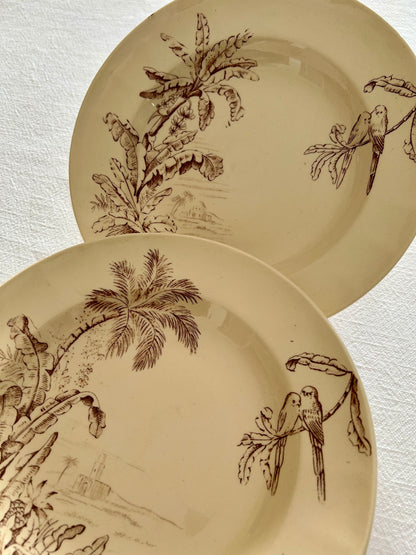 Duo d’assiettes creuses - Exotique - Longchamp