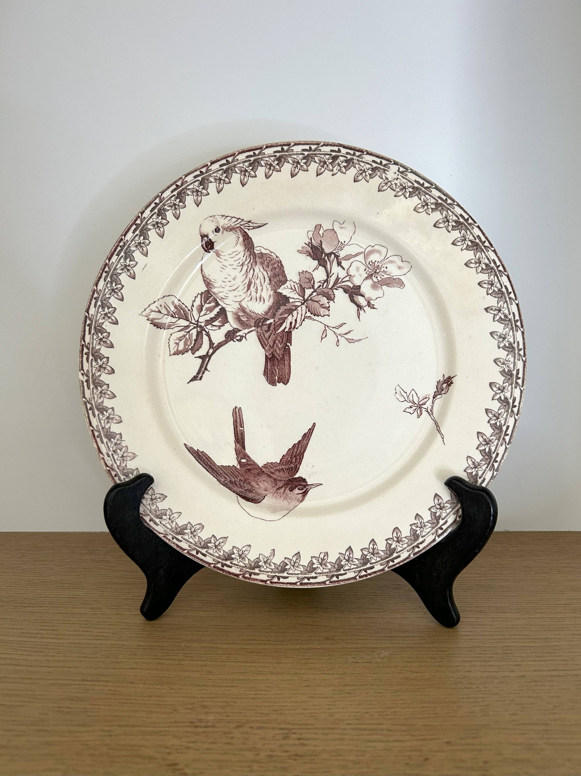 Assiette - Buffon - Sarreguemines - La Brocanterie d'Estelle