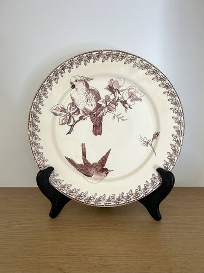 Assiette - Buffon - Sarreguemines - La Brocanterie d'Estelle