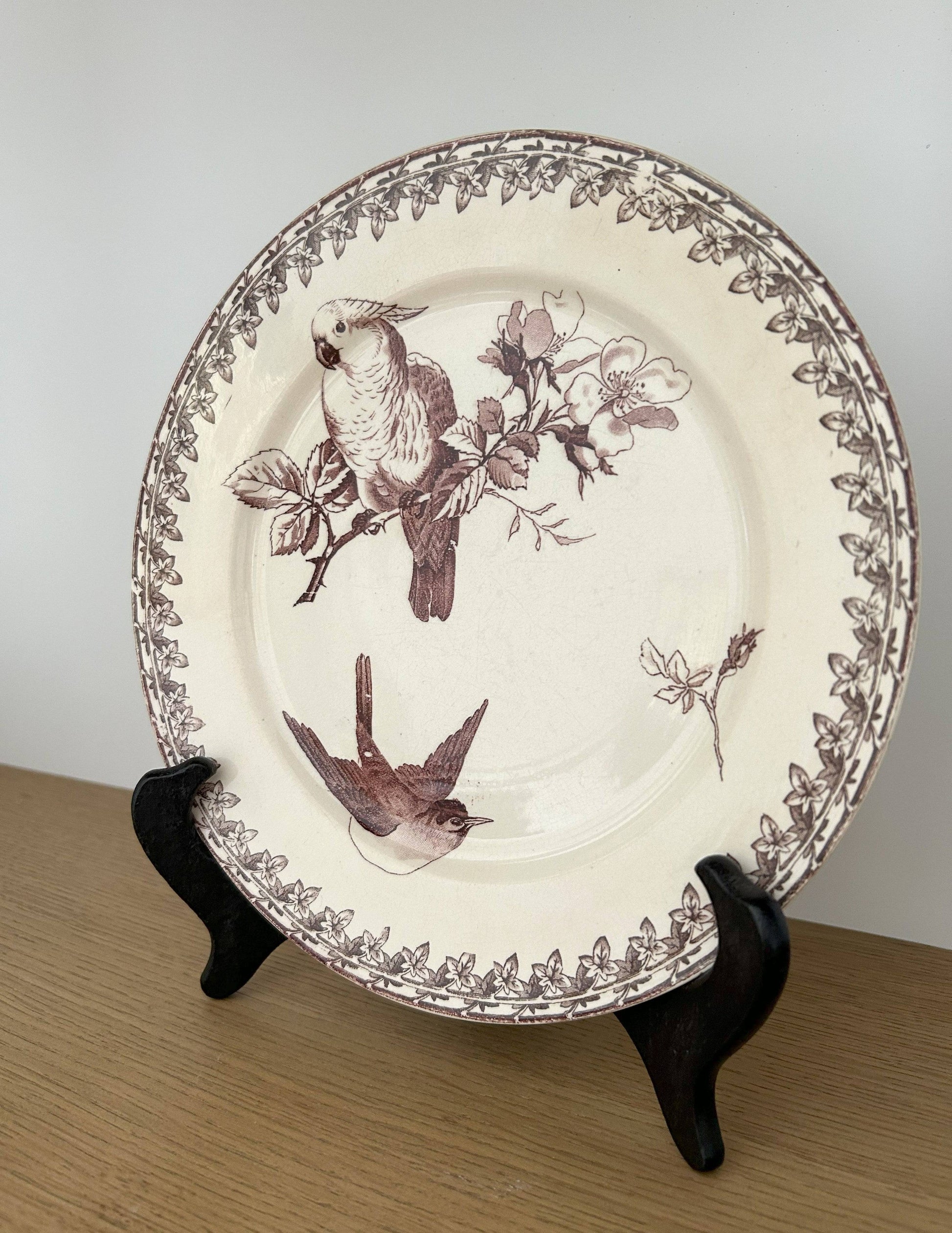 Assiette - Buffon - Sarreguemines - La Brocanterie d'Estelle