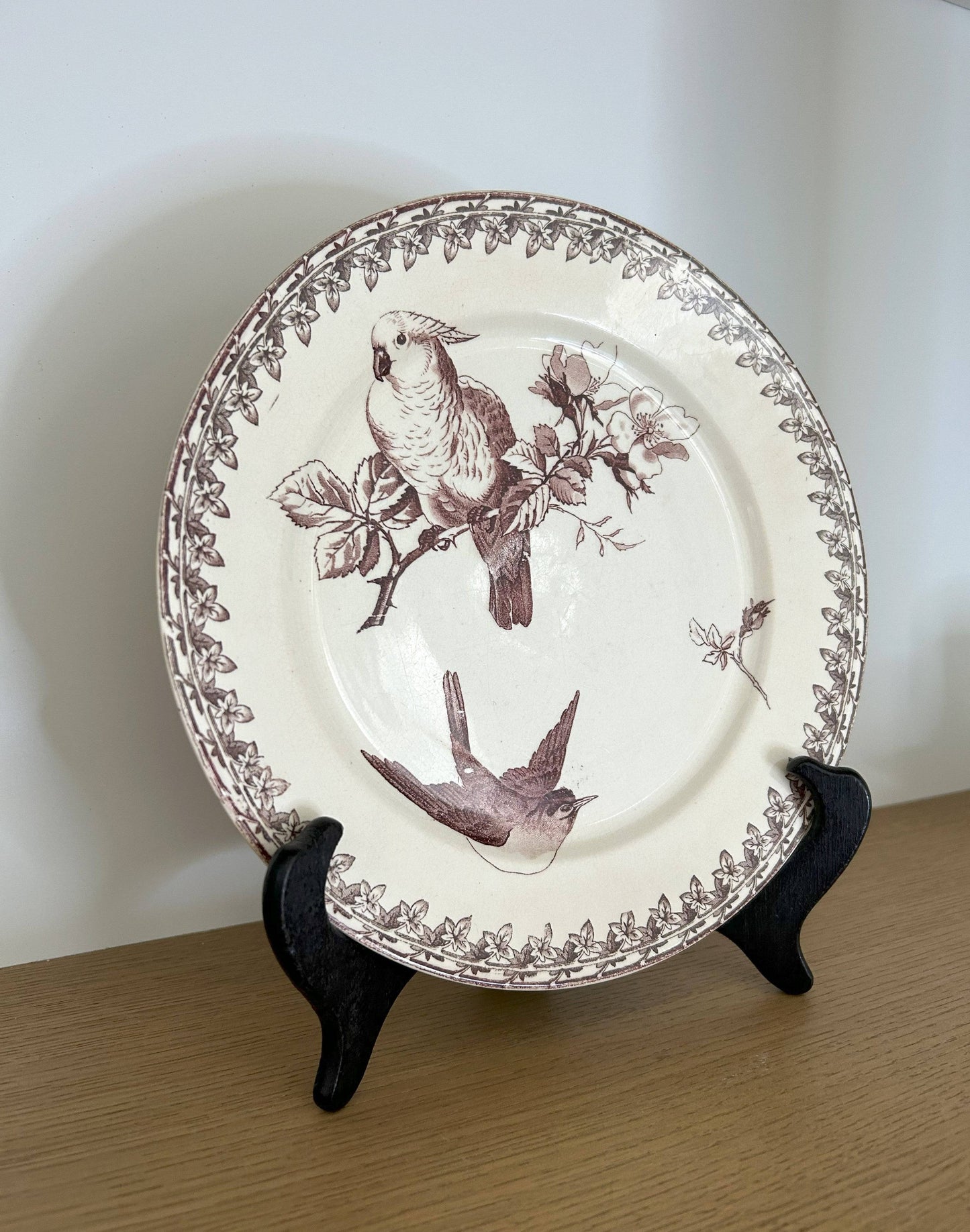 Assiette - Buffon - Sarreguemines - La Brocanterie d'Estelle