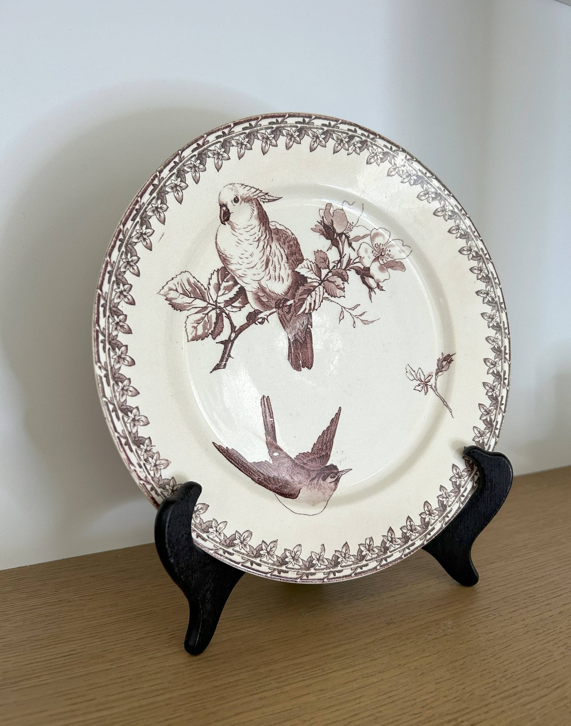 Assiette - Buffon - Sarreguemines - La Brocanterie d'Estelle