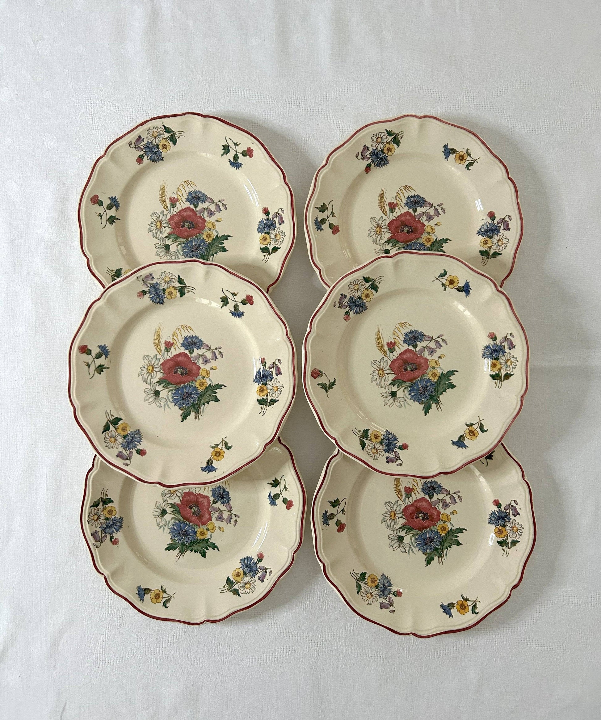 Ensemble de 6 assiettes plates - Agreste - Sarreguemines - La Brocanterie d'Estelle
