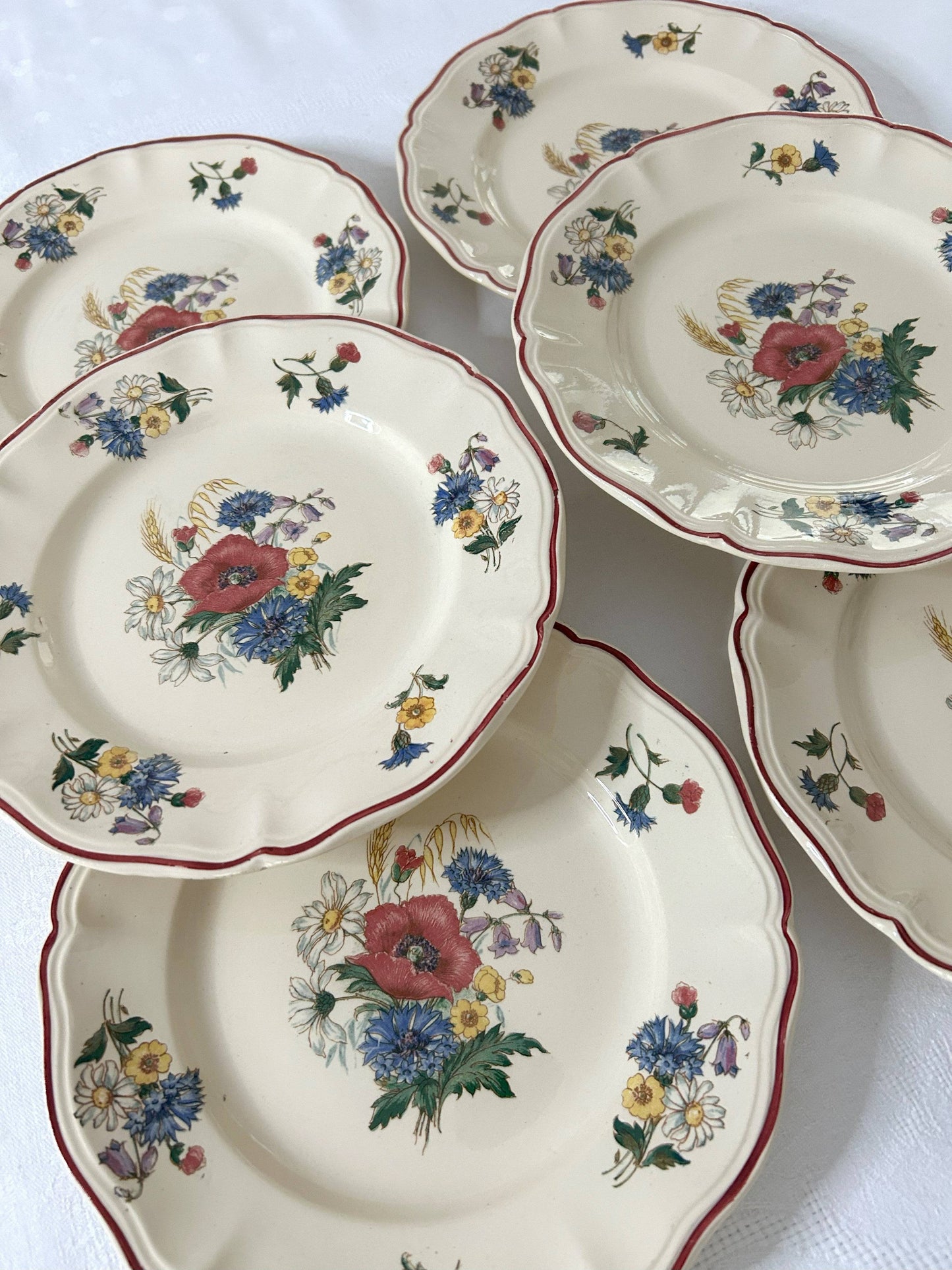 Ensemble de 6 assiettes plates - Agreste - Sarreguemines - La Brocanterie d'Estelle