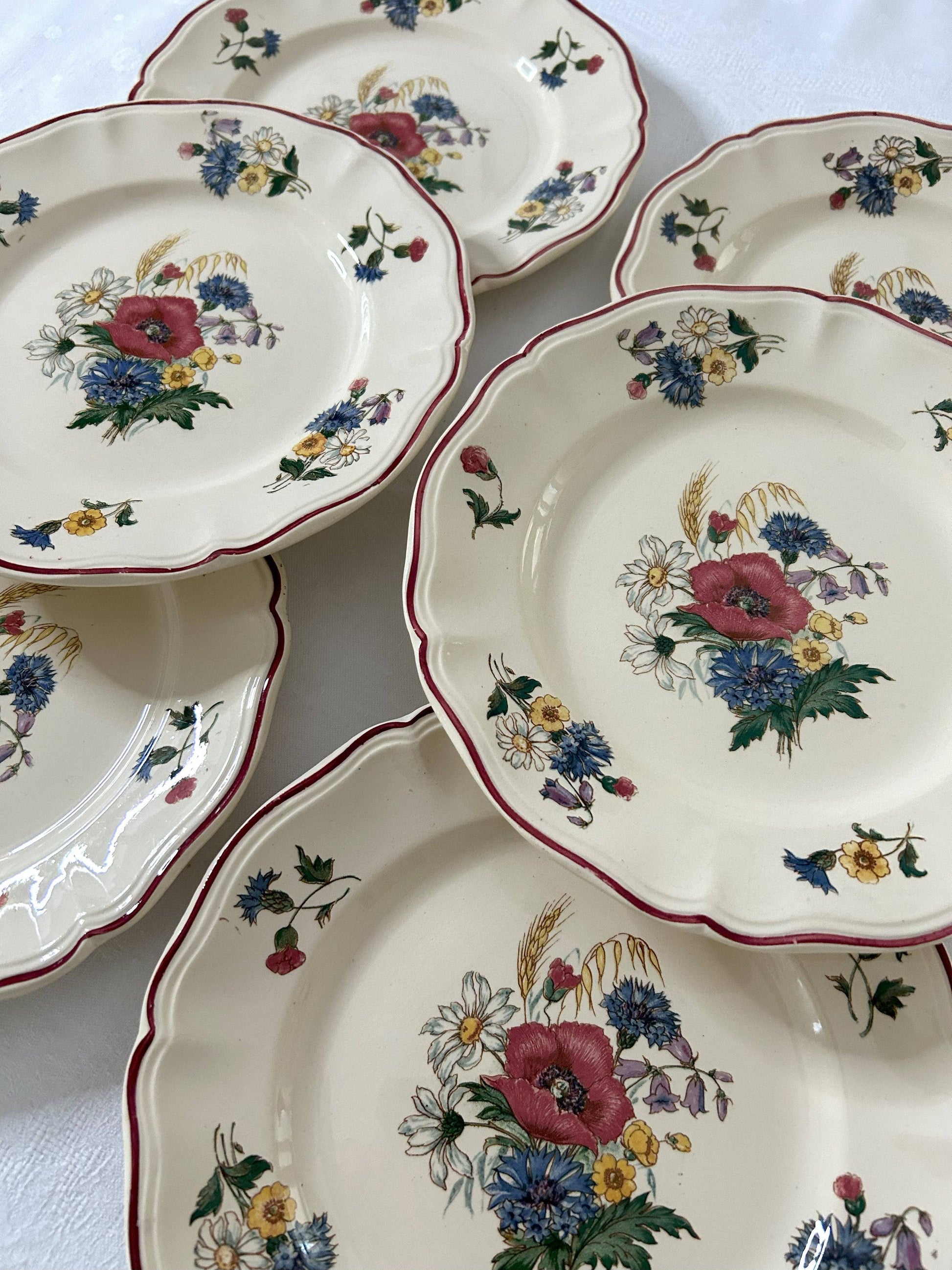 Ensemble de 6 assiettes plates - Agreste - Sarreguemines - La Brocanterie d'Estelle