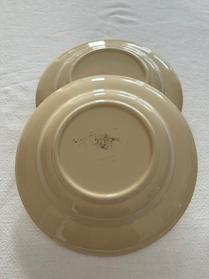 Duo d’assiettes creuses - Exotique - Longchamp