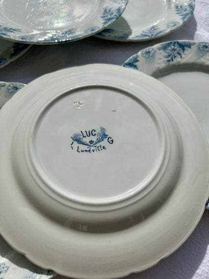 Ensemble de 6 assiettes plates K&G Lunéville - La Brocanterie d'Estelle
