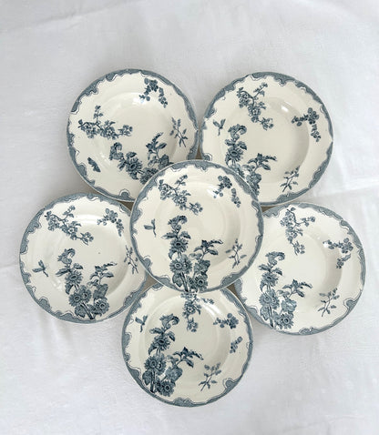 Ensemble de 6 assiettes creuses - Soleil - Longwy - La Brocanterie d'Estelle