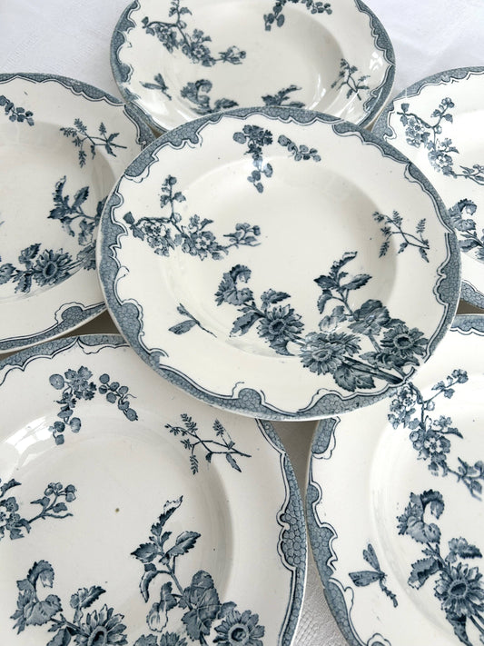 Ensemble de 6 assiettes creuses - Soleil - Longwy - La Brocanterie d'Estelle