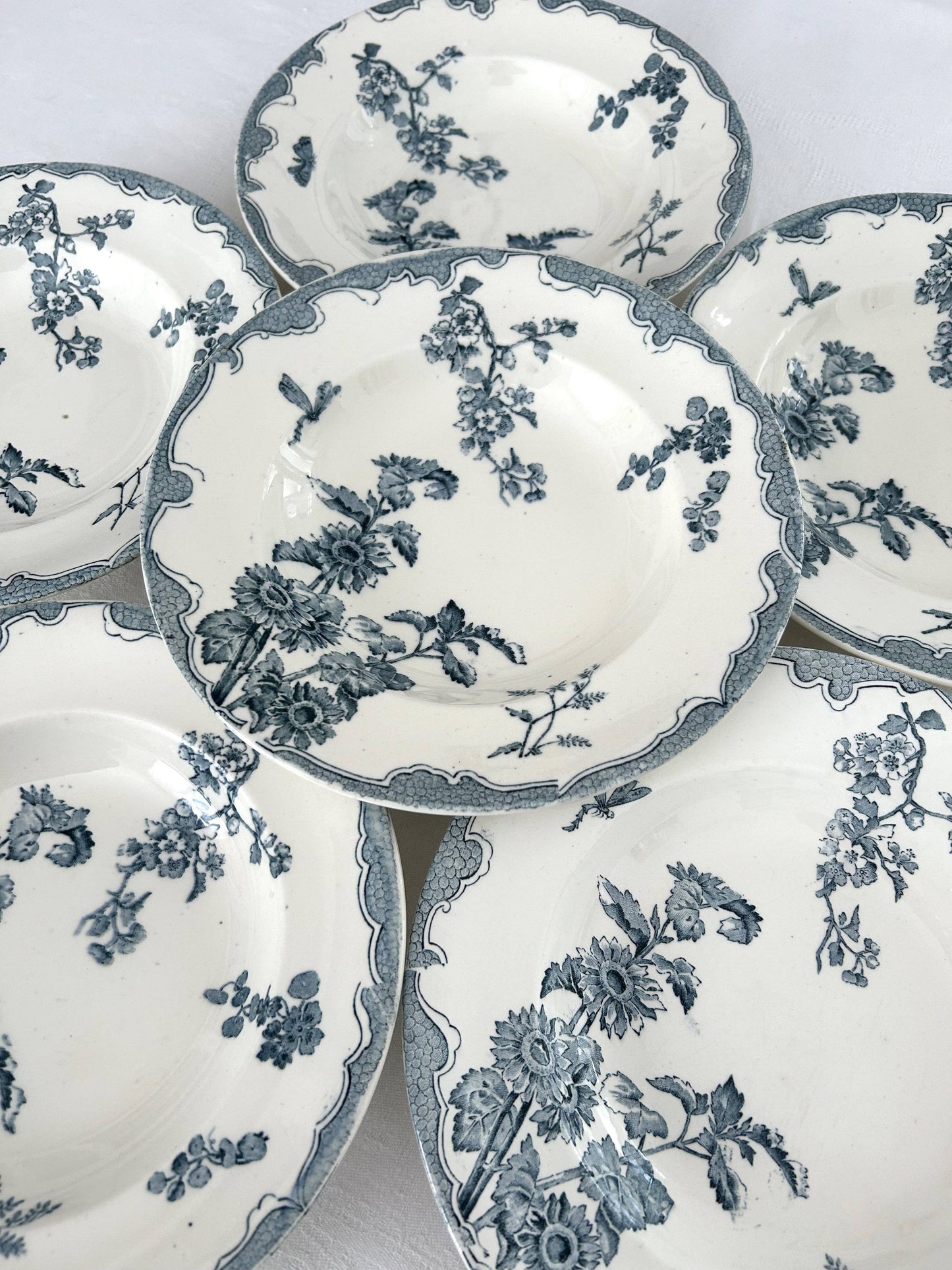 Ensemble de 6 assiettes creuses - Soleil - Longwy - La Brocanterie d'Estelle