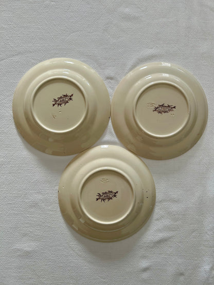 Trio d’assiettes plates - Exotique - Longchamp