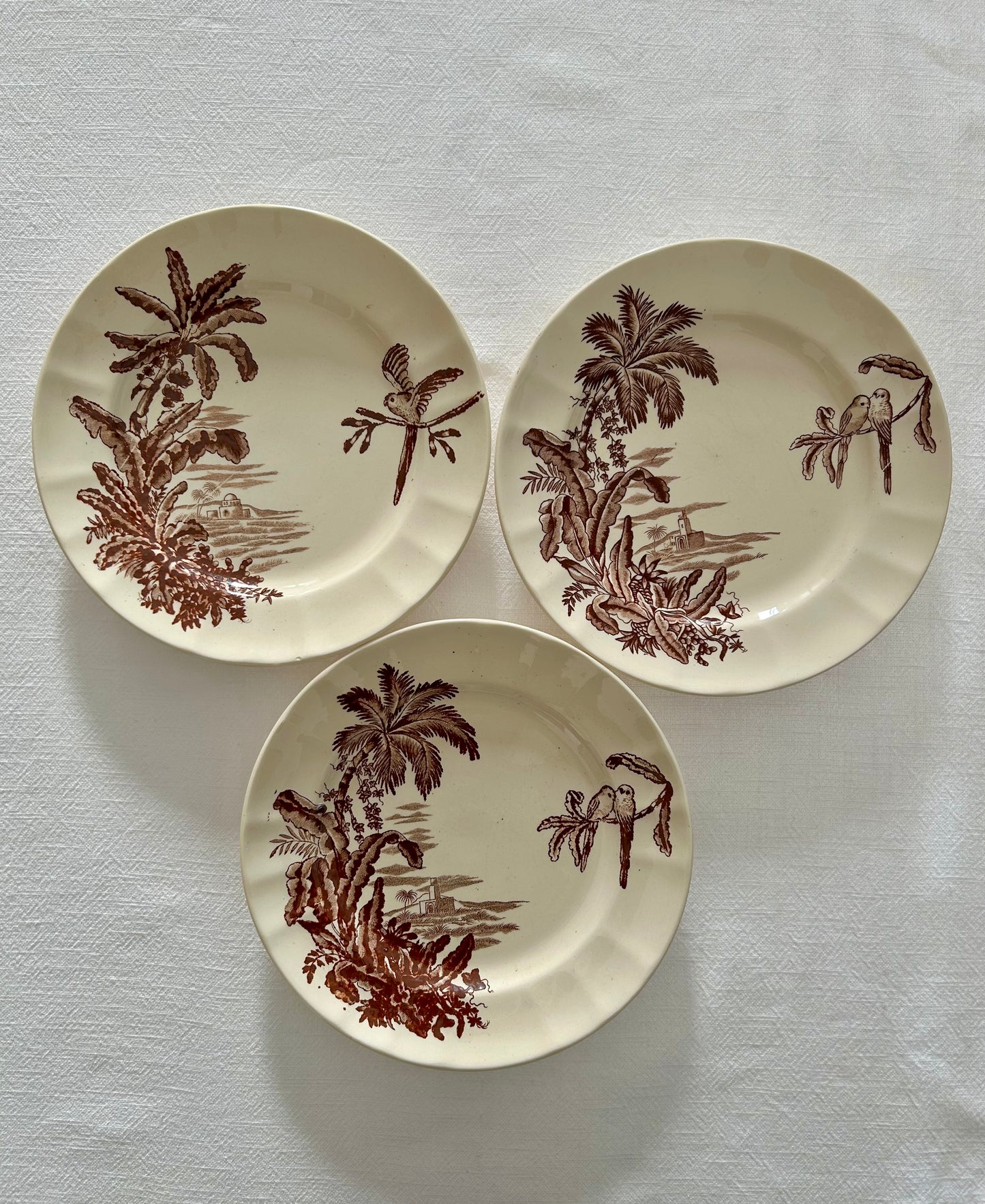 Trio d’assiettes plates - Exotique - Longchamp