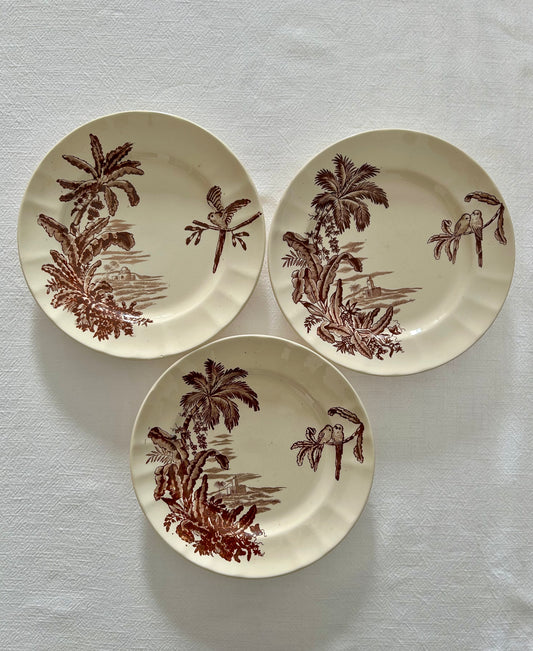 Trio d’assiettes plates - Exotique - Longchamp