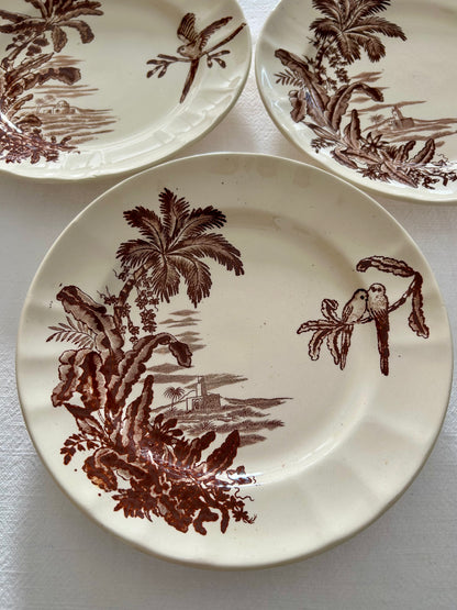 Trio d’assiettes plates - Exotique - Longchamp