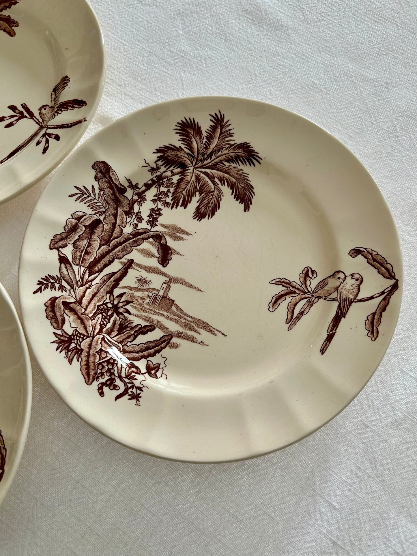 Trio d’assiettes plates - Exotique - Longchamp