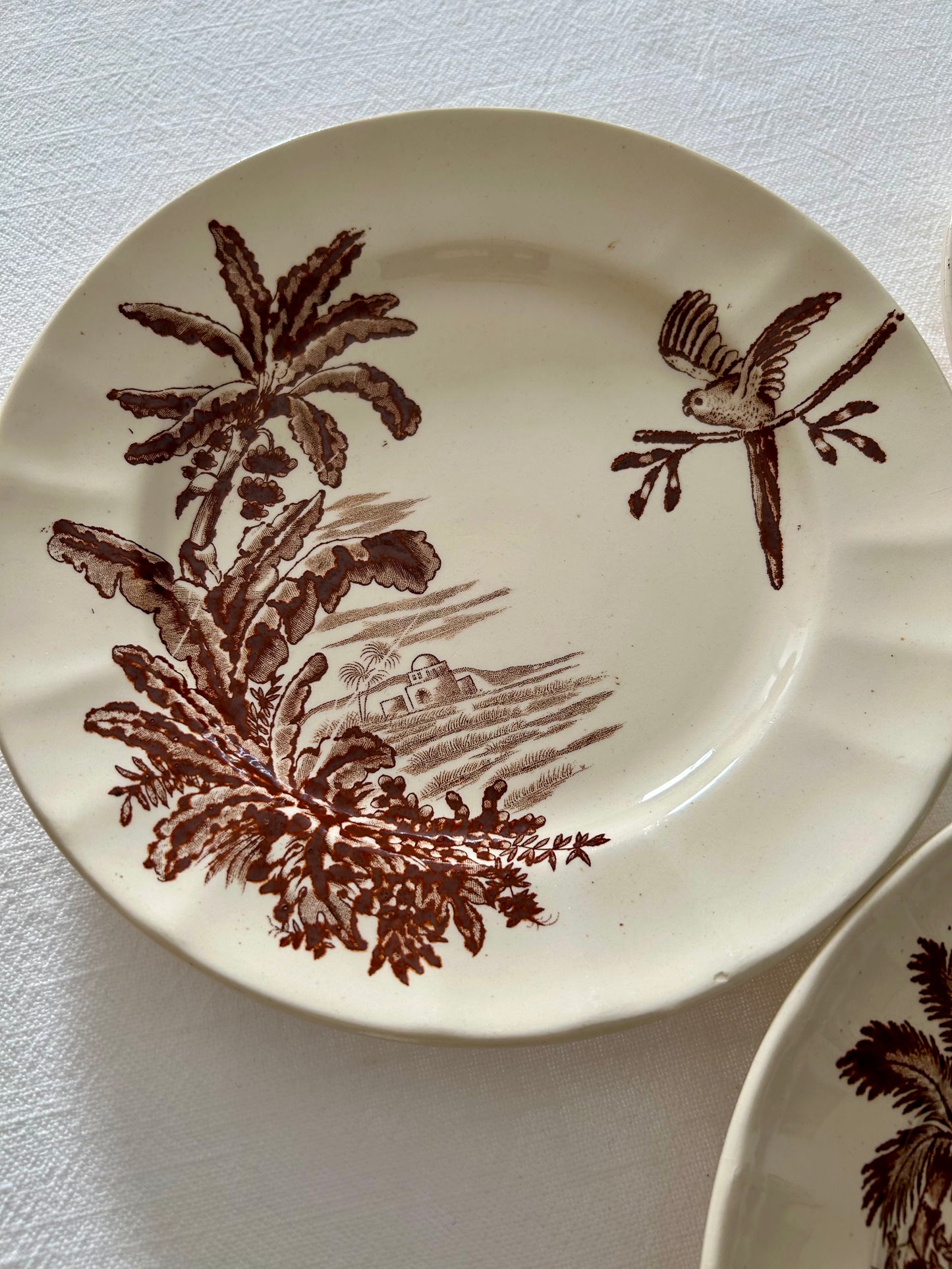 Trio d’assiettes plates - Exotique - Longchamp